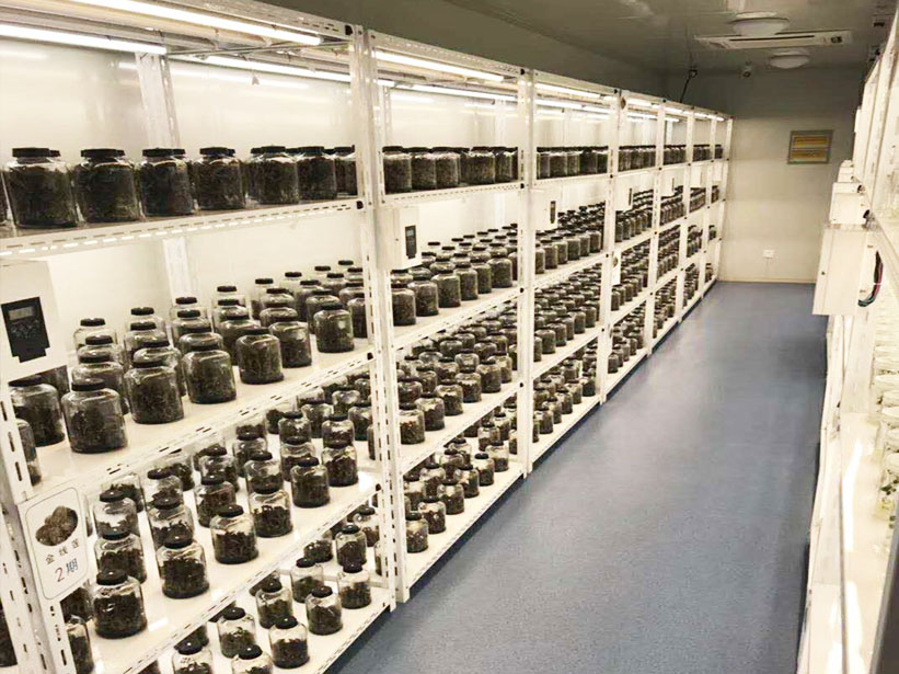 某組培脫毒種苗中心 植物組織培養(yǎng)實(shí)驗(yàn)室